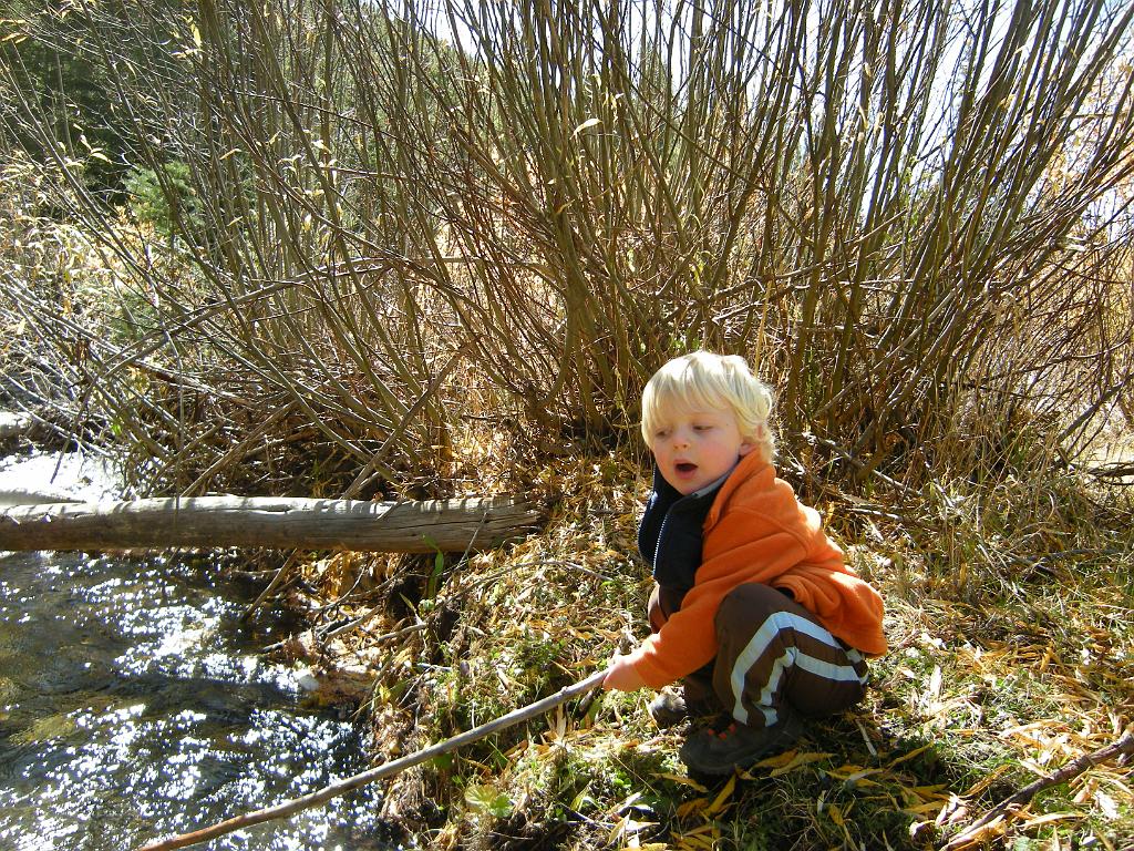 fall09 020